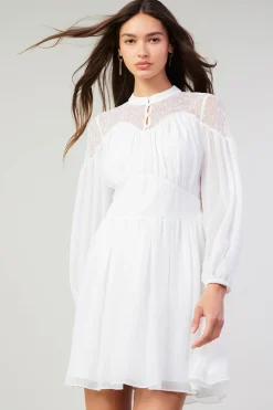 Current Air Palermo Lace Collared Mini Dress WHITE Hot